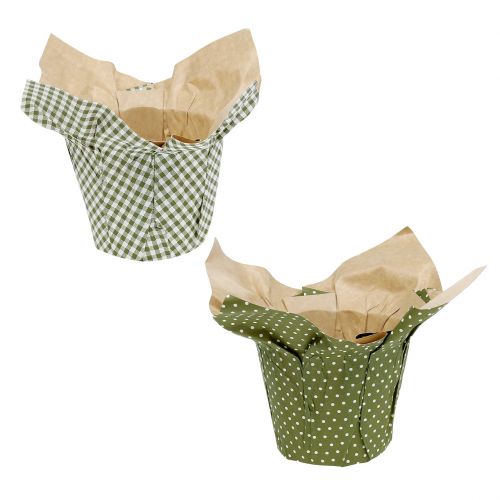 Floristik24 Paper pot with pattern green-white Ø9.5cm 12pcs