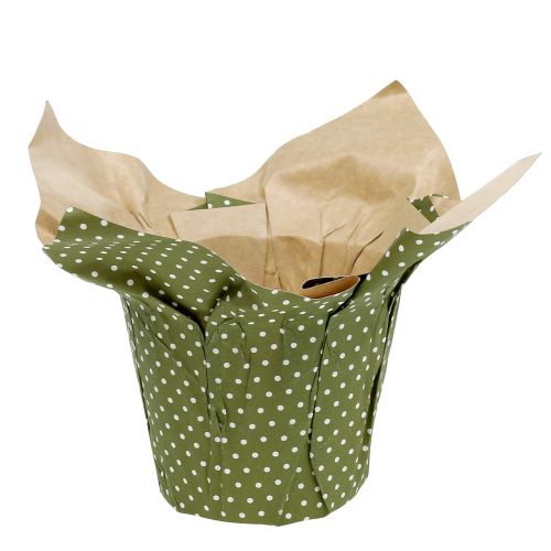 Floristik24 Paper pot with pattern green-white Ø9.5cm 12 pcs