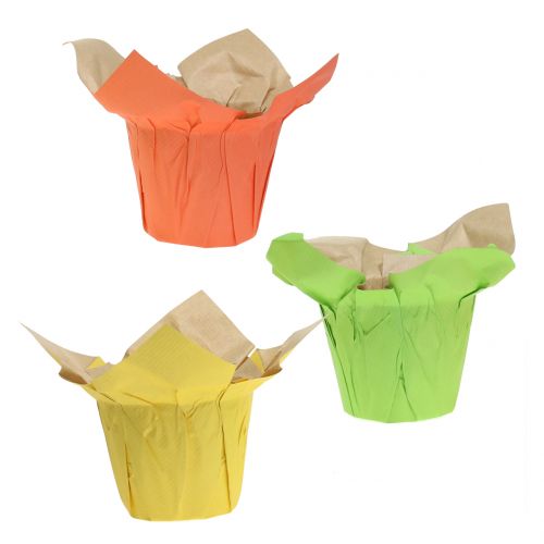 Floristik24 Paper pots green, orange, yellow Ø10cm 12pcs