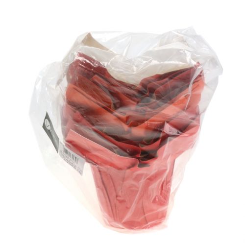 Floristik24 Paper pot planter orange/red Ø8cm 12pcs