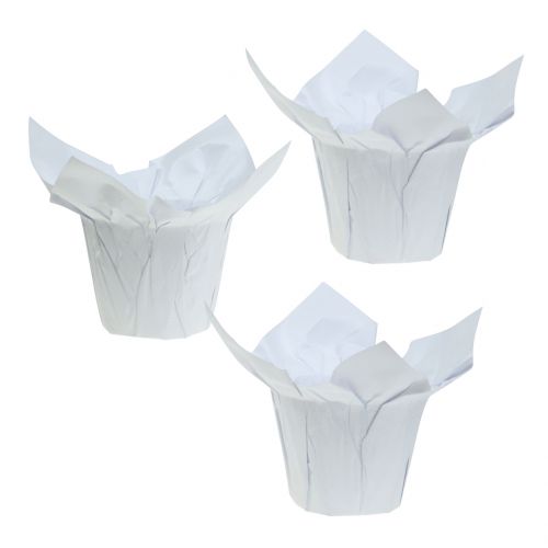 Paper pots white Ø10cm 12pcs