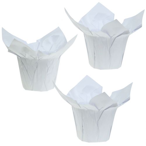 Floristik24 Paper pots white Ø12cm 12pcs