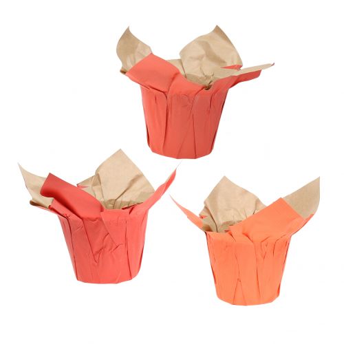 Floristik24 Paper pot planter orange/red Ø8cm 12pcs