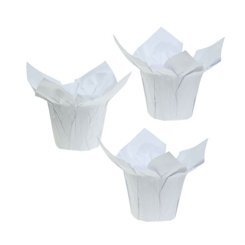 Floristik24 Paper planters White Ø8cm 12pcs