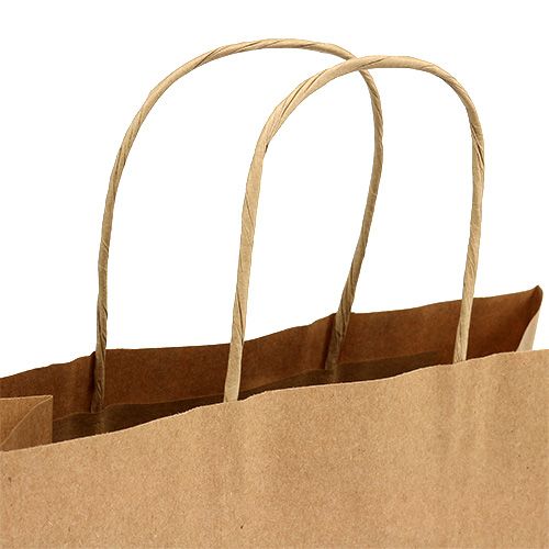 Product Paper carrier bag 23x12x30cm 50 pcs