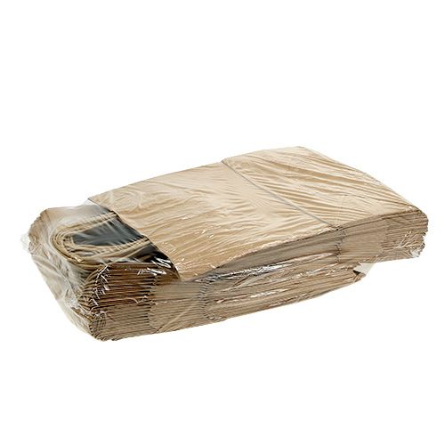 Product Paper carrier bag 23x12x30cm 50 pcs