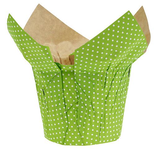 Floristik24 Paper pot Ø10cm H8cm green 8pcs