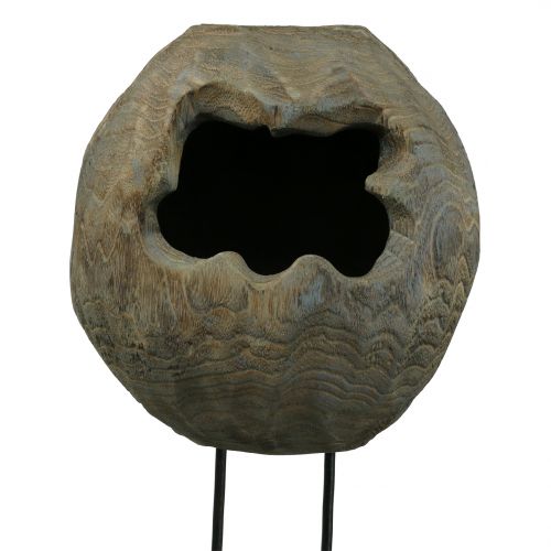 Product Deco sculpture plant ball of paulownia wood H68cm