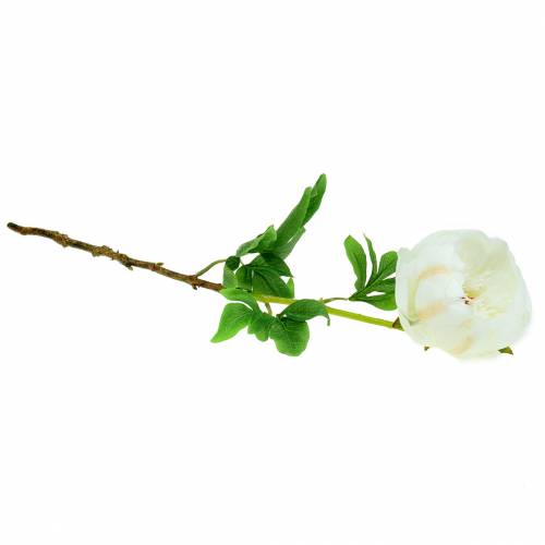Floristik24 Peony White 59cm