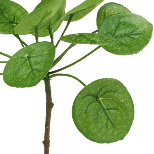 Floristik24 Peperomia Artificial green plant with leaves 30cm