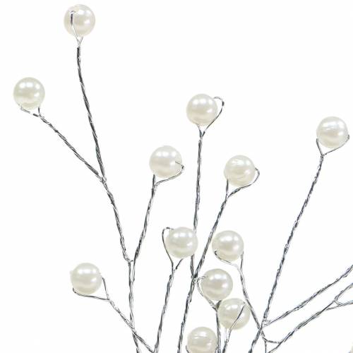 Floristik24 Pearl Branch Champagne L18cm 2 pcs