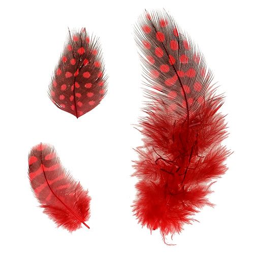 Product Guinea Feathers Faraona 30g Red