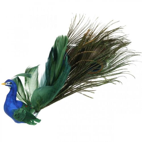 Floristik24 Bird of paradise, peacock to clamp, feather bird, bird decoration blue, green, colorful H8.5 L29cm