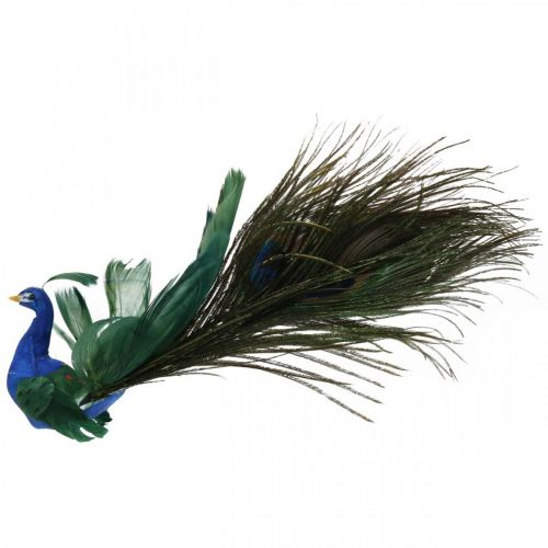 Floristik24 Bird of paradise, peacock to clamp, feather bird, bird decoration blue, green, colorful H8.5 L29cm