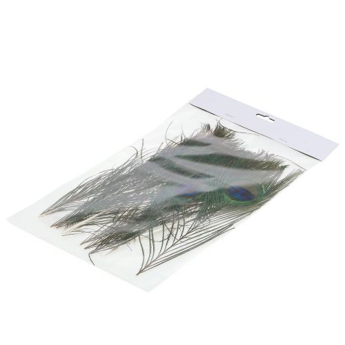 Floristik24 Peacock feathers 22cm - 30.5cm 12pcs