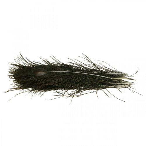 Floristik24 Peacock feathers decoration real feathers for crafts natural 24-32cm 24 pcs