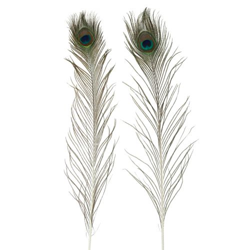 Floristik24 Peacock feathers decoration real bird feathers long 70cm 16 pcs