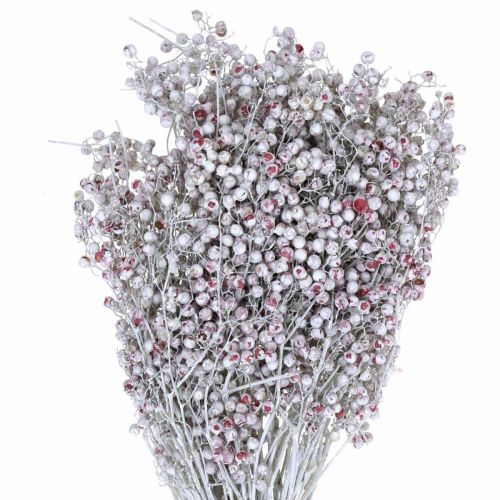 Pepper berries covered with snow, winter decorations, dried flowers, advent, pink pepper white washed 170g