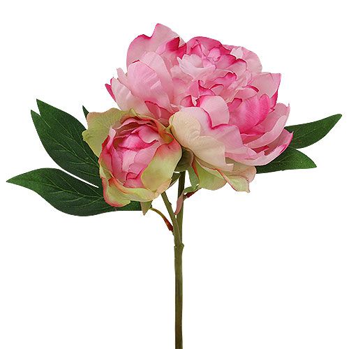 Floristik24 Peonies with bud pink L30cm 2pcs