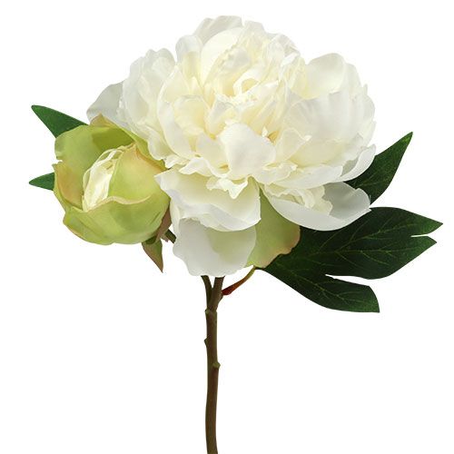 Floristik24 Peonies with bud white L30cm 2pcs