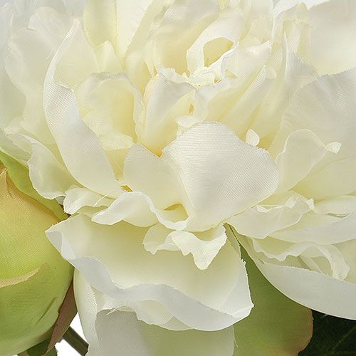 Product Peonies with bud white L30cm 2pcs