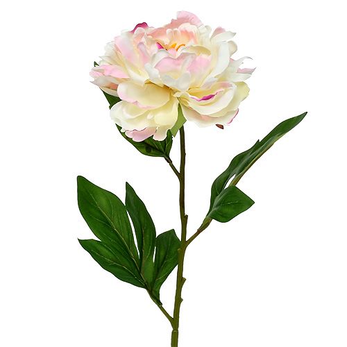 Floristik24 Peony Cream-Pink 78cm