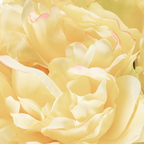Product Artificial peony with large bloom for timeless floral interior design, 60cm, 3 pieces