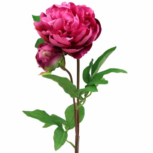 Floristik24 Peony artificial flower with blossom and bud purple magenta 68cm
