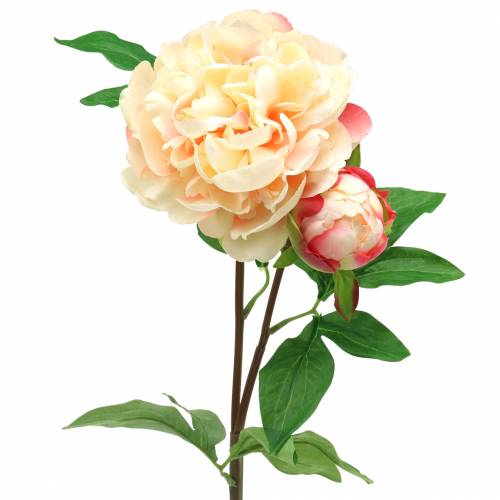 Floristik24 Peony with flower and bud artificial peach 70cm