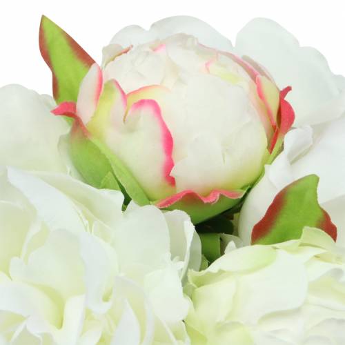 Floristik24 Peony bunch white / pink 27cm 6pcs