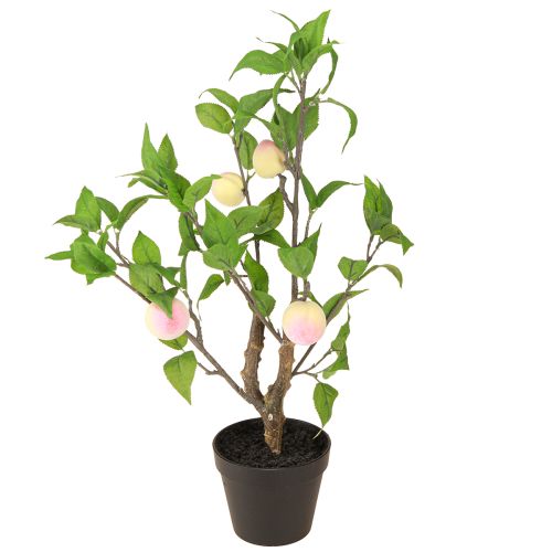 Floristik24 Peach tree in pot with 4 fruits Artificial H53cm