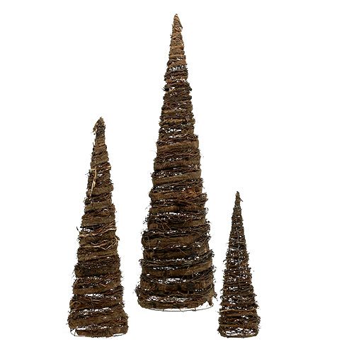 Floristik24 Plant cones natural set of 3 40x10/60x15/80x20cm