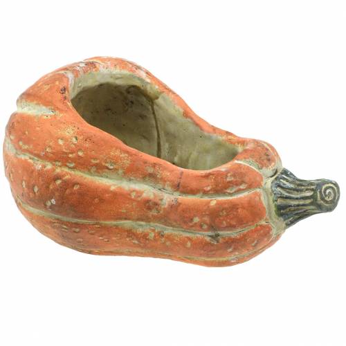 Floristik24 Pumpkin for planting Orange 28 × 15 × 14cm