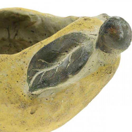 Product Pear for planting, autumn decoration, concrete vessel L19cm H15.5cm