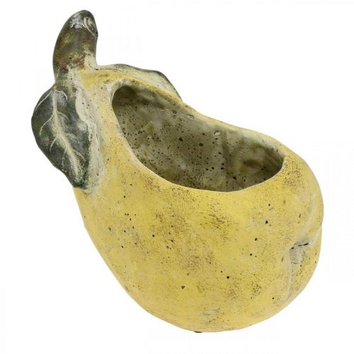 Pear for planting, autumn decoration, concrete vessel L19cm H15.5cm