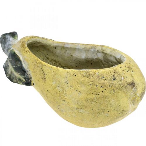 Product Decorative pear, ceramic for decorating, autumn, plant pot L25cm H11cm