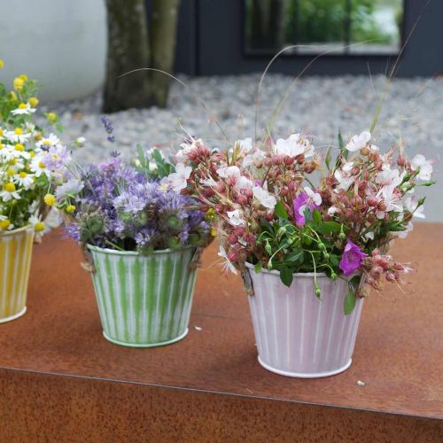 Product Plant bucket, metal pot with handles, decorative planter for planting pink/green/yellow shabby chic Ø12cm H10cm set of 3