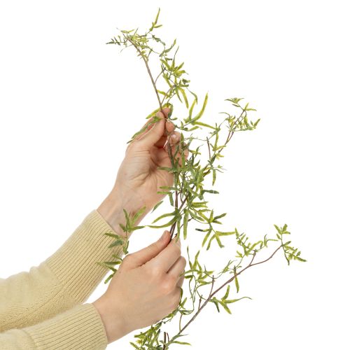 Product Asparagus garland for festive room decoration and stylish occasions, 170cm