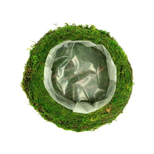 Floristik24 Plant bowl moss branches Ø20cm