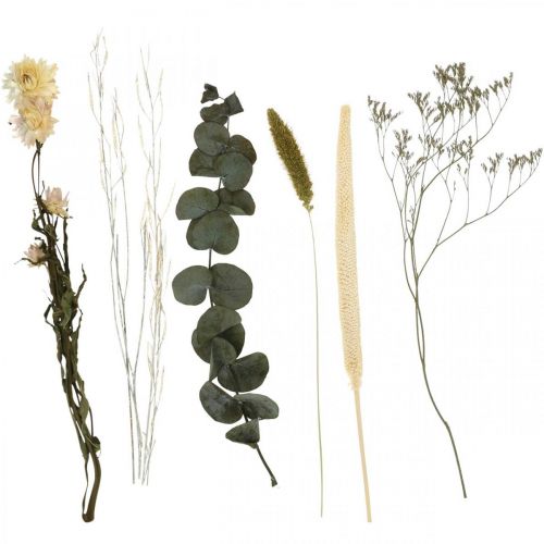 Floristik24 Dried flowers bouquet eucalyptus dry floristry set H30-35cm