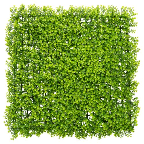 Artificial Boxwood Panel 55x55 cm Green for Decorative Wall Design buy online | Floristik24.co.uk