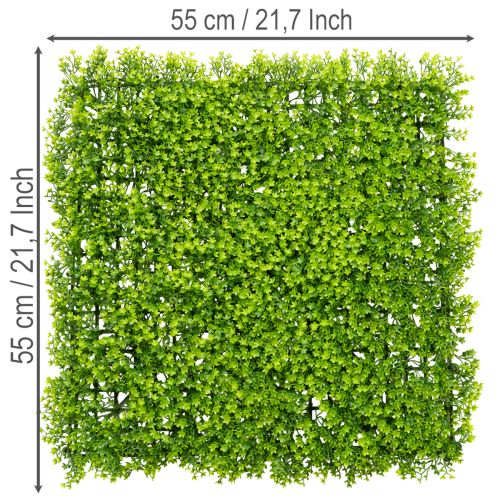 Artificial Boxwood Panel 55x55 cm Green for Decorative Wall Design | Floristik24.co.uk