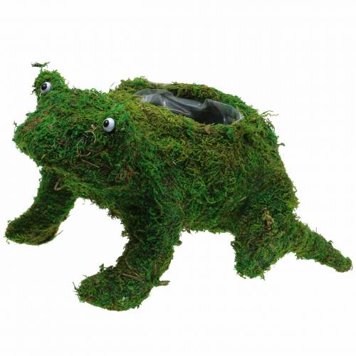 Planter frog with moss green 35 × 25cm H21cm