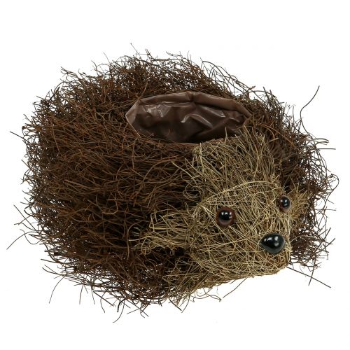 Floristik24 Planter hedgehog made of vines 22cm x 25cm