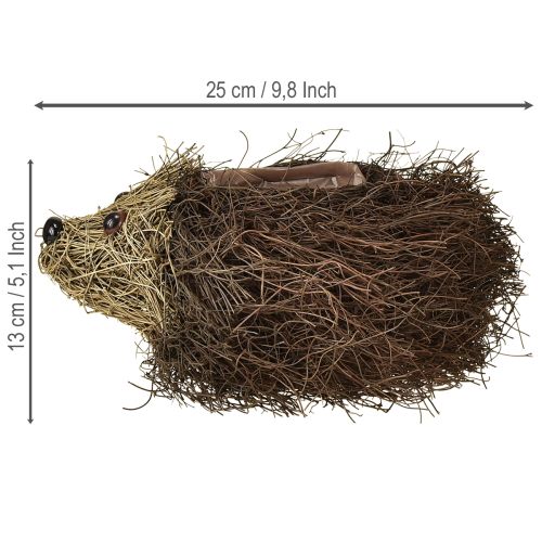 Product Planter hedgehog made of vines 22cm x 25cm