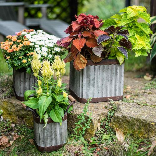 Product Planter with handles, square industrial style 36 / 31.5 / 24cm, set of 3