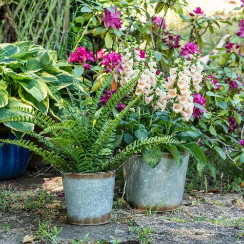 Product Planter made of metal, flower bowl, plant pot with handles silver, patina Ø18cm H20cm