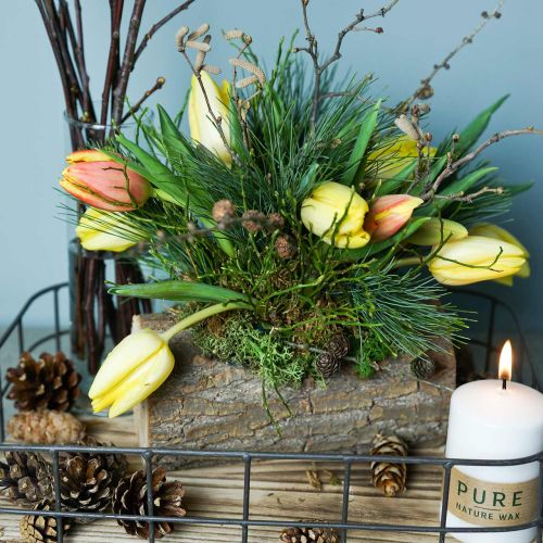 Floristik24 Planter elm wood 20cm x 11cm H9cm