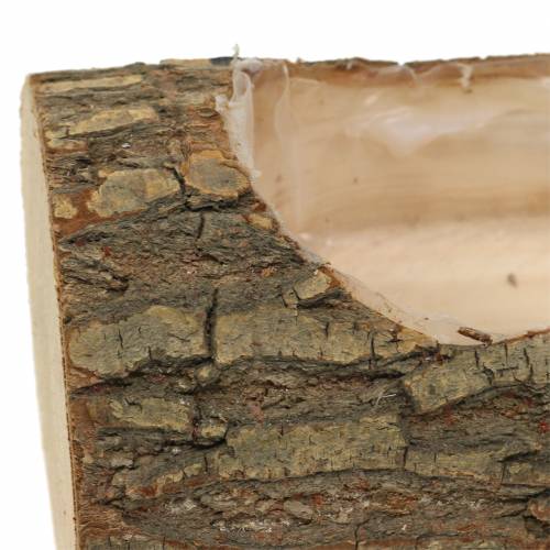 Floristik24 Planter elm wood 20cm x 11cm H9cm