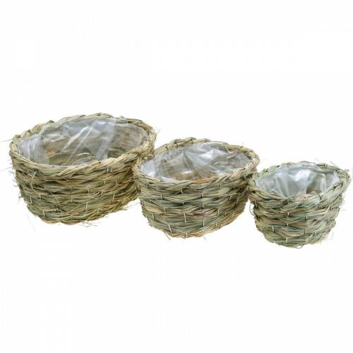 Floristik24 Planter made of hay, decorative basket, plant basket, flower basket oval set of 3